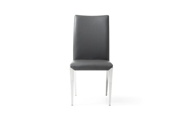 Mueble Modrest Taryn - Silla de comedor moderna
  gris oscuro (juego de 2) – Envíos a todo México | FurnitureMX