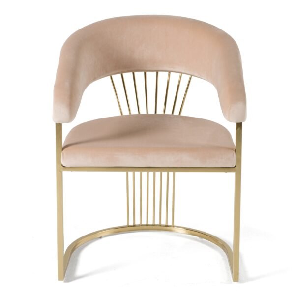 Mueble Modrest Linda - Silla de comedor moderna de
  terciopelo beige y dorado – Envíos a todo México | FurnitureMX