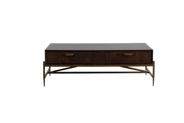 Mueble Modrest Shane - Mesa de centro moderna de
  acacia y latón – Envíos a todo México | FurnitureMX