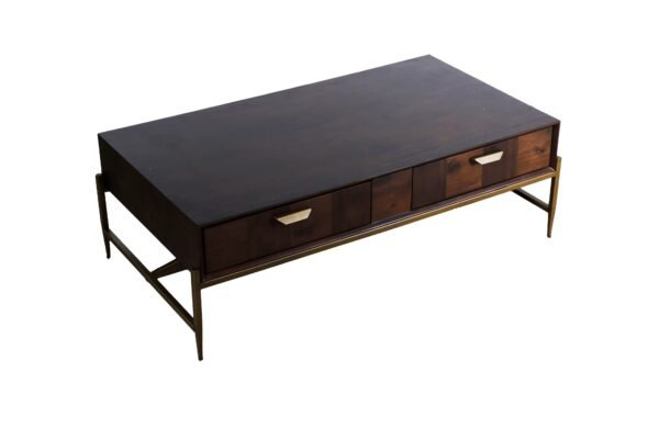 Mueble Modrest Shane - Mesa de centro moderna de
  acacia y latón – Envíos a todo México | FurnitureMX